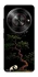 Чехол на ZTE Nubia Focus Panda and tree фото 1 из 1
