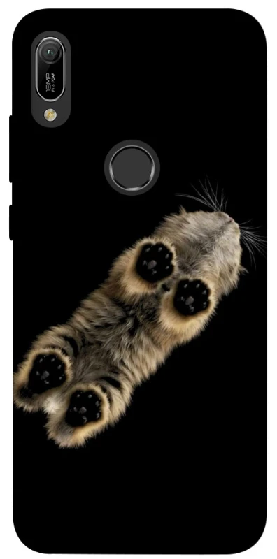 Чехол на Huawei Y6 (2019) Cat фото 1 из 1