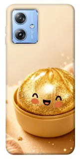 Чохол на Motorola Moto G84 Dumpling ver.6 фото 1 з 1