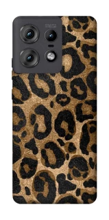 Чохол на Motorola Edge 50 Pro Leopard Skin фото 1 з 1