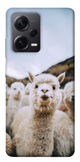 Чехол на Xiaomi Redmi Note 12 Pro+ 5G Лама фото 1 из 1