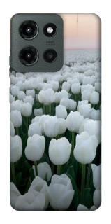 Чехол на Motorola Moto G Power (2025) Flowers v1 фото 1 Чехол на Motorola Moto G Power (2025) Flowers v1 фото 1 из 1