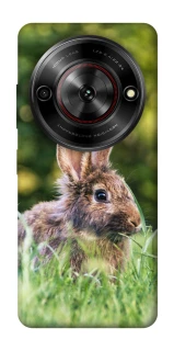 Чохол на ZTE Nubia Focus Кролики фото 1 з 1