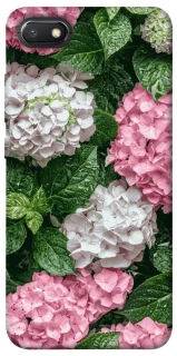 Чехол на Xiaomi Redmi 6A Secret Garden фото 1 из 1