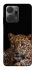 Чохол на Huawei Honor X7a Leopard v4 фото 1 з 1