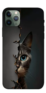 Чехол на Apple iPhone 11 Pro (5.8") Кот-подглядыватель v2 фото 1 из 1