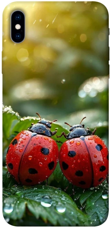 Чохол на Apple iPhone XS Max (6.5") Flowers v23 фото 1 з 1