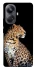Чехол на Realme 10 Pro+ Leopard v2 фото 1 из 1