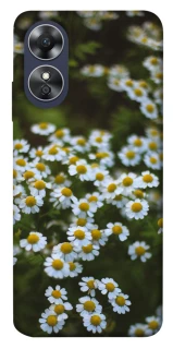 Чехол на Oppo A17 Ромашки v13 фото 1 из 1