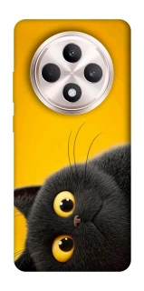 Чехол на Oppo Reno 12 F 4G/5G This is Cat фото 1 из 1