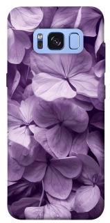 Чехол на Samsung G950 Galaxy S8 Floral Symphony фото 1 из 1