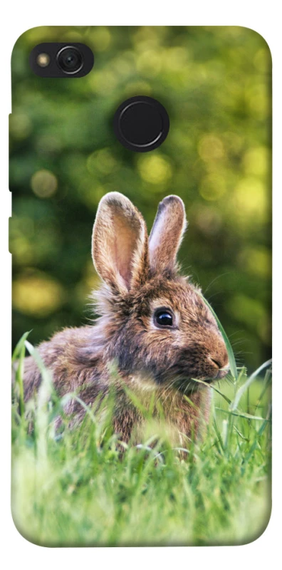 Чехол на Xiaomi Redmi 4X Кролики фото 1 из 1