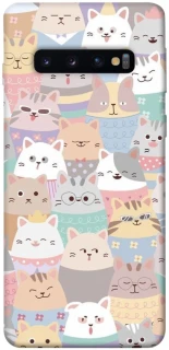 Чохол на Samsung Galaxy S10 Funny Kittens ver.2 фото 1 з 1