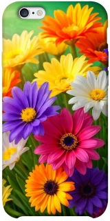 Чехол на Apple iPhone 6/6s plus (5.5") Flowers v32 фото 1 из 1