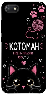 Чехол на Xiaomi Redmi 6A Котоман фото 1 из 1