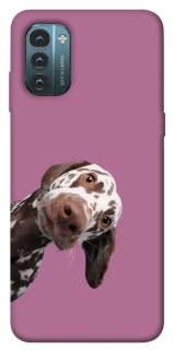 Чехол на Nokia G21 А что тут фото 1 из 1