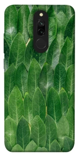 Чохол на Xiaomi Redmi 8 Листя фото 1 з 1