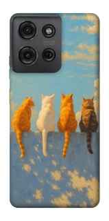 Чехол на Motorola Moto G75 cats on wall фото 1 Чехол на Motorola Moto G75 cats on wall фото 1 из 1