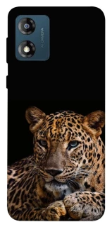 Чохол на Motorola Moto E13 Leopard v4 фото 1 з 1