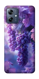 Чехол на Motorola Moto G54 Power Bunch of grapes фото 1 из 1