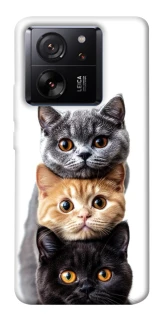 Чохол на Xiaomi 13T Гарні котики фото 1 з 1