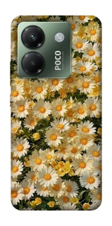 Чохол на Xiaomi Poco M7 pro 5G Camomile фото 1 з 1