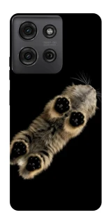 Чехол на Motorola Moto G75 Cat фото 1 из 1