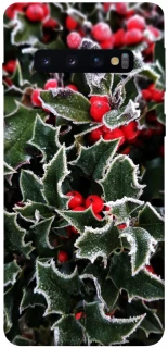 Чехол на Samsung Galaxy S10 Новогодний v32 фото 1 из 1