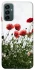 Чохол на Samsung Galaxy M14 5G Поле маків фото 1 з 1