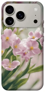 Чехол на Apple iPhone 17 Pro (6.3") Spring фото 1 из 1