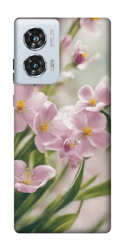 Чохол на Motorola Edge 50 Fusion Spring фото 1 з 1
