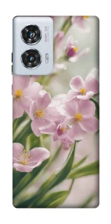 Чохол на Motorola Edge 50 Fusion Spring фото 1 з 1
