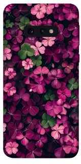 Чохол на Samsung Galaxy S10e Flowers v7 фото 1 з 1