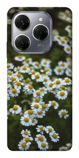 Чехол на TECNO Spark 20 Pro Ромашки v13 фото 1 из 1