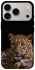 Чехол на Apple iPhone 17 Pro (6.3") Leopard v4 фото 1 из 1