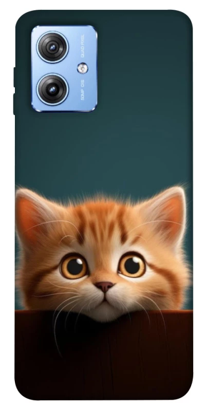 Чехол на Motorola Moto G84 Чехол Котёнок фото 1 из 1