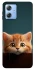 Чехол на Motorola Moto G84 Чехол Котёнок фото 1 из 1