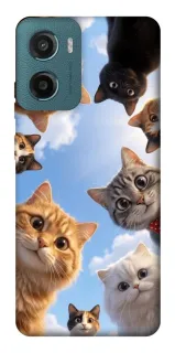 Чехол на Motorola Moto G06 Cats фото 1 из 1
