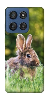 Чехол на Motorola Edge 60 Stylus Кролики фото 1 из 1