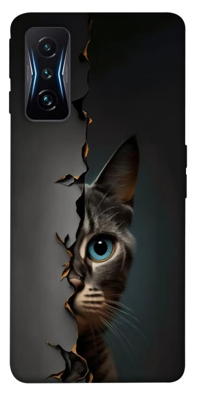 Чохол на Xiaomi Poco F4 GT Кіт-підглядач v2 фото 1 з 1