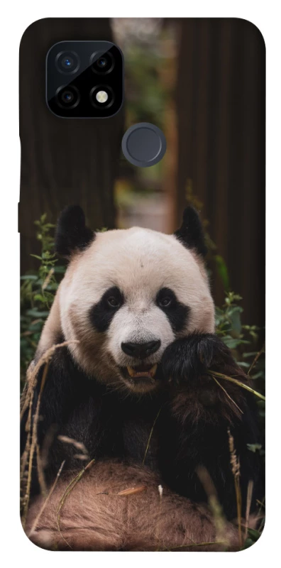 Чехол на Realme C21 Панда фото 1 из 1