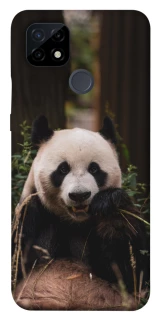 Чехол на Realme C21 Панда фото 1 из 1