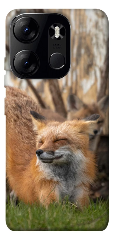Чехол на Tecno Spark Go 2023 Лиса фото 1 из 1
