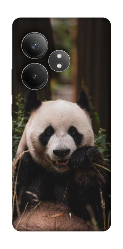 Чохол на Realme GT Neo 6 Панда фото 1 з 1