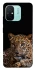 Чехол на Xiaomi Redmi 12C / Poco C55 Leopard v4 фото 1 из 1