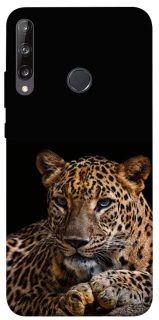 Чехол на Huawei P40 Lite E Leopard v4 фото 1 из 1