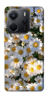 Чохол на Xiaomi Redmi Note 14 4G (Int. version) Поле ромашок фото 1 з 1
