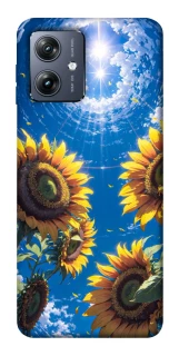 Чохол на Motorola Moto G54 Sunflowers фото 1 Чохол на Motorola Moto G54 Sunflowers фото 1 з 1