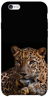 Чехол на Apple iPhone 6/6s (4.7") Leopard v4 фото 1 из 1