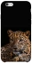 Чохол на Apple iPhone 6/6s (4.7") Leopard v4 фото 1 з 1